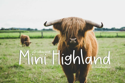 Mini Highland - A Handwritten Font