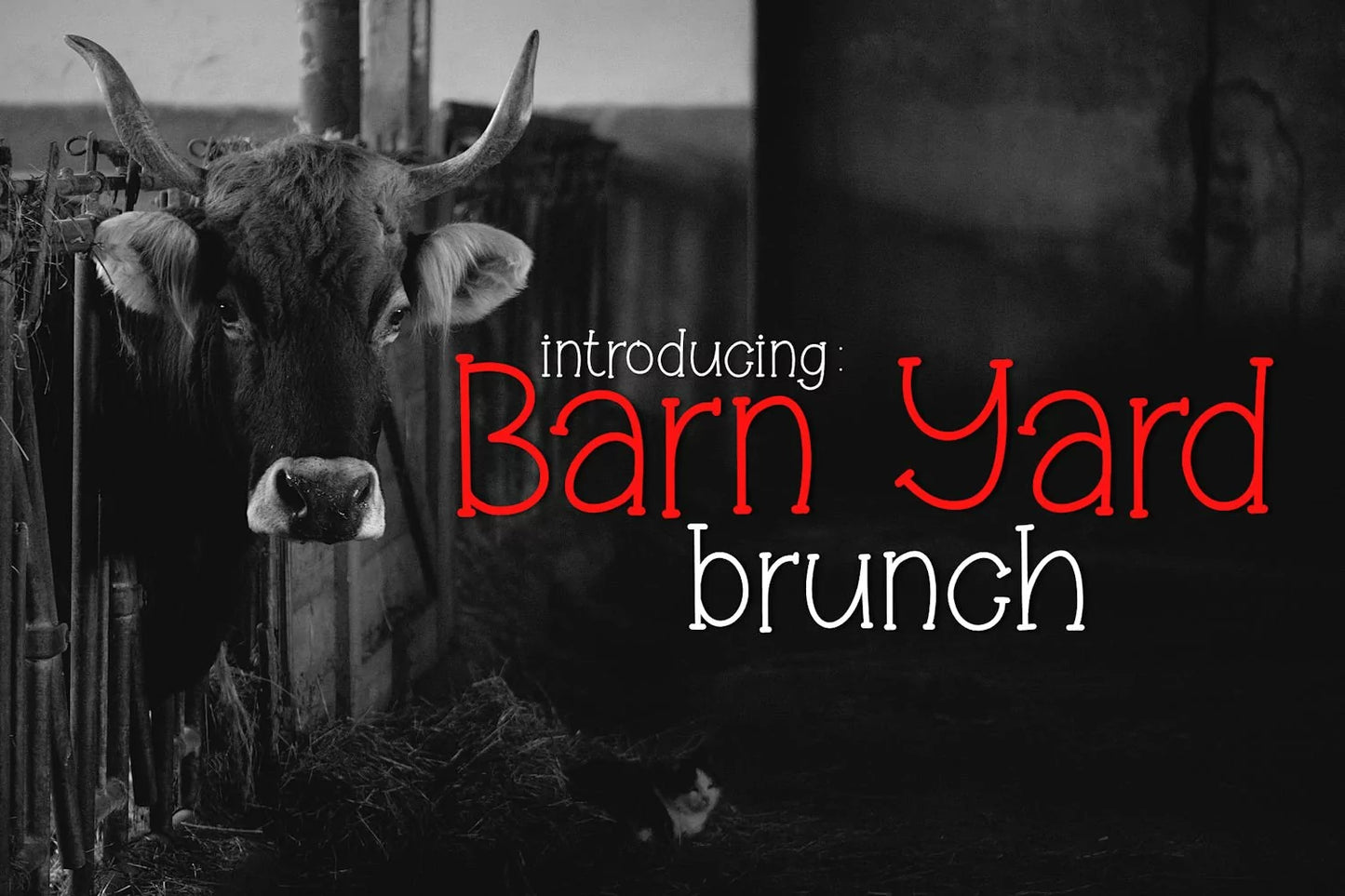 Barn Yard Brunch - A Handwritten Font